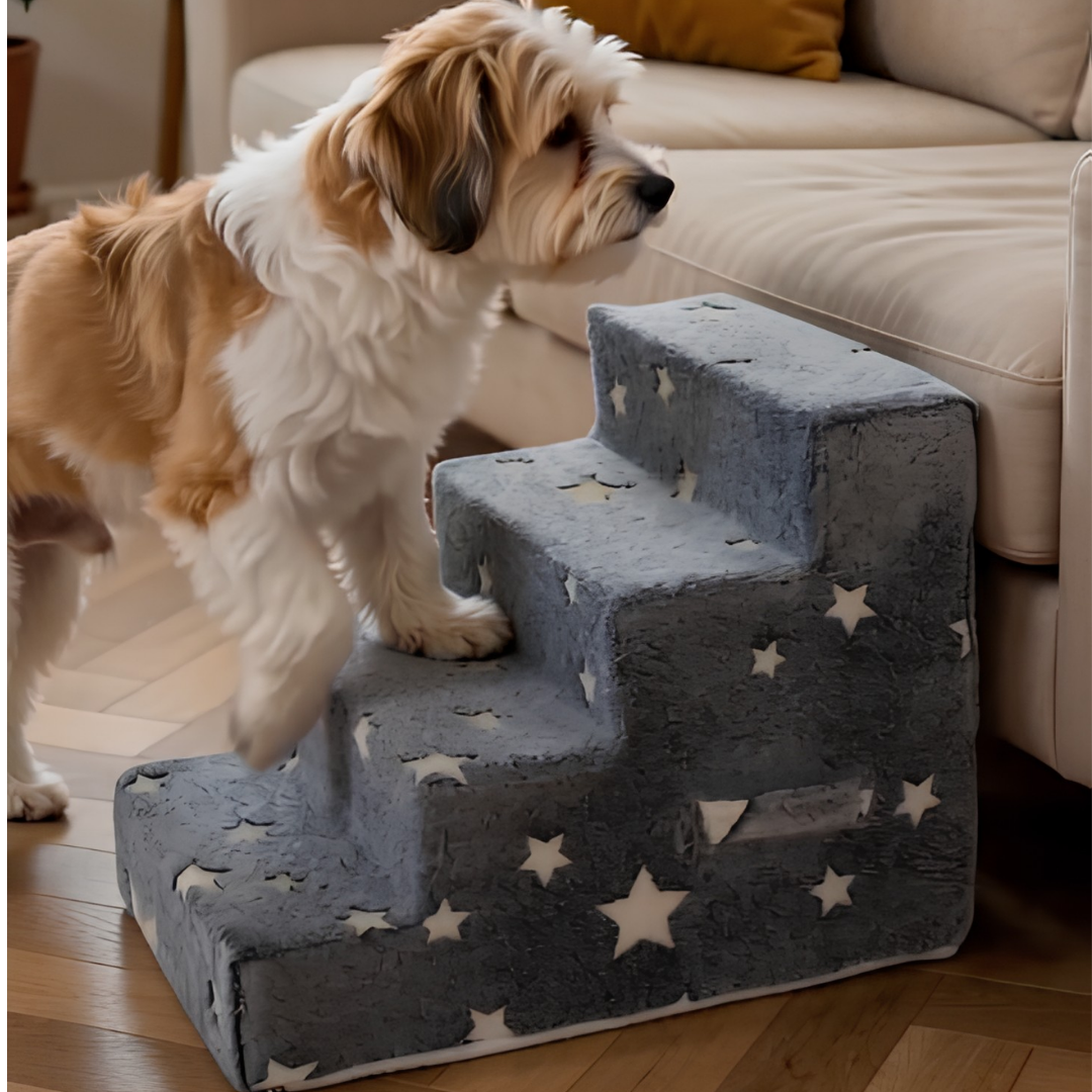 DreamyPaws Gentle Steps™ - ON SALE! WHILE STOCKS LAST