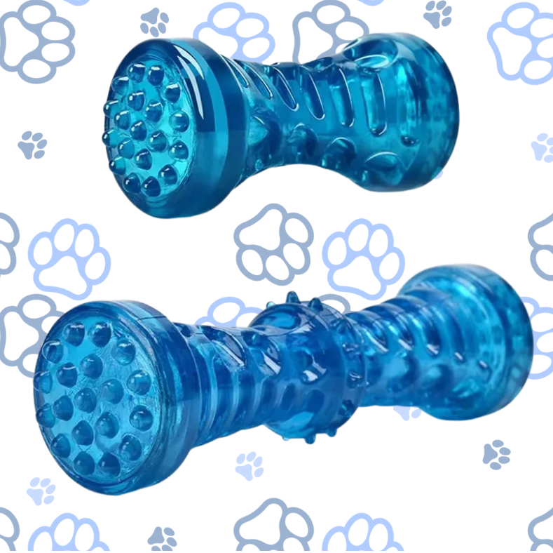 Bite-Resistant Toothbrush Bone Dog Toy